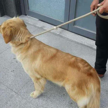 Flaraz - Duurzaam Gevlochten anti trek riem voor honden