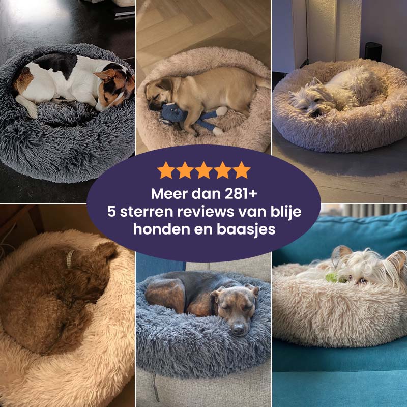 Flaraz - Cloud 9 Honden Kalmerend Knuffel Bed